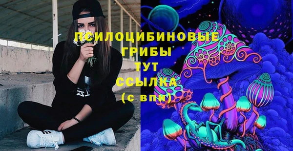 PSILOCYBIN Алексеевка