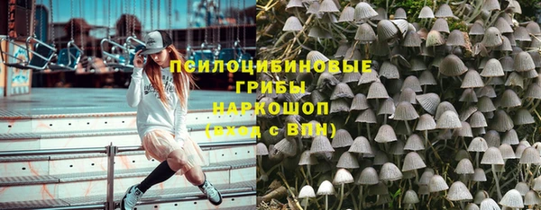 PSILOCYBIN Алексеевка