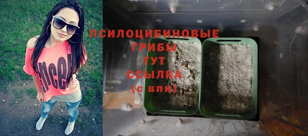 дурь Алзамай
