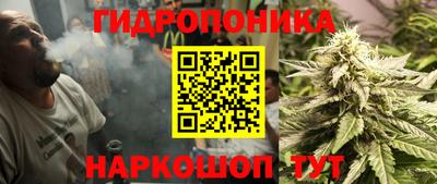 крисы Нягань