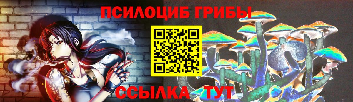 Черемхово  Галлюциногенные грибы мухоморы  Галлюциногенные грибы Psilocybine cubensis  сколько стоит  Вход с VPN 
