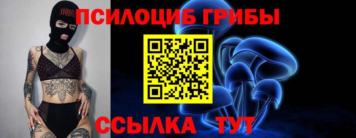 Галлюциногенные грибы GOLDEN TEACHER Черемхово